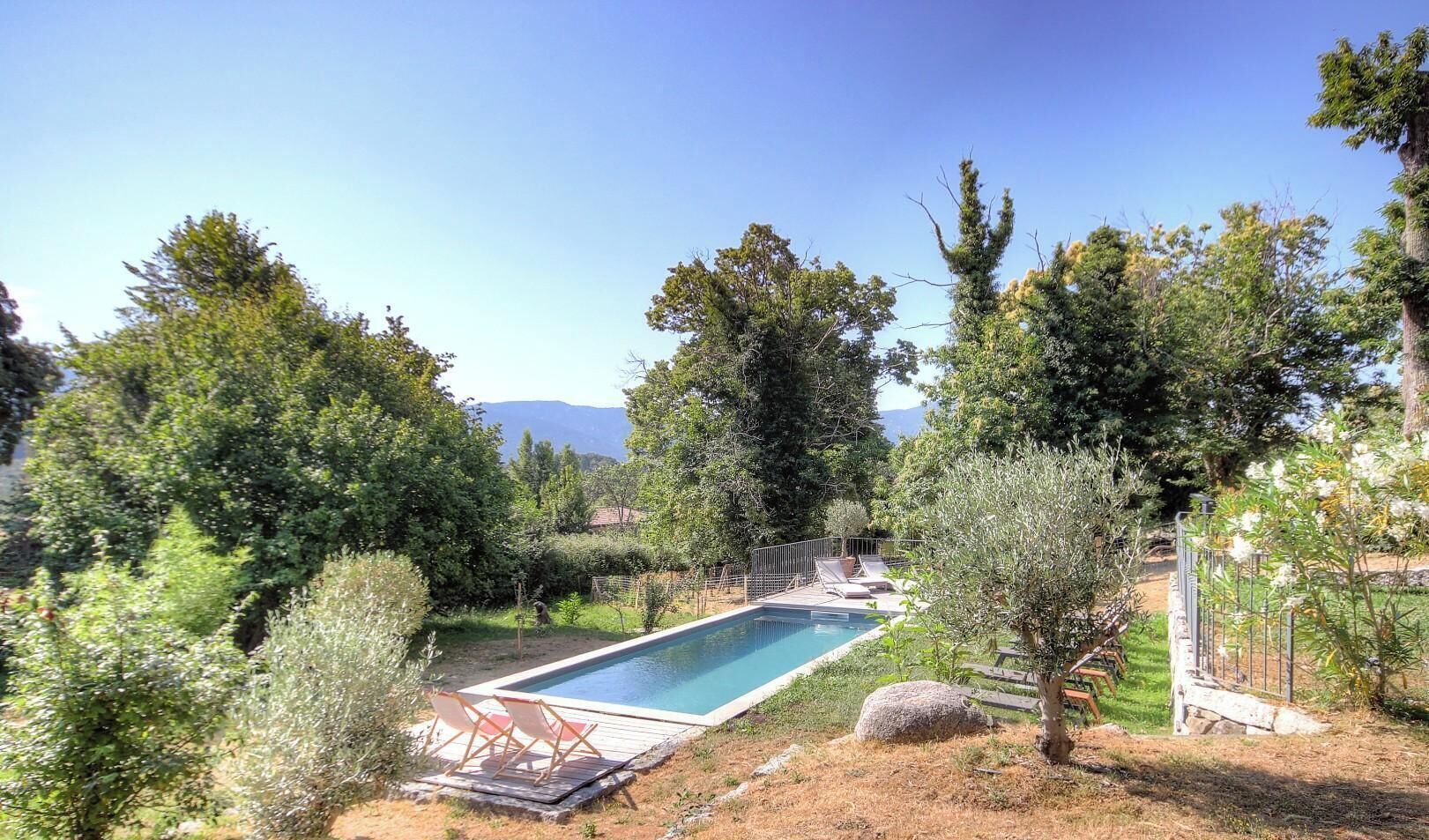 Une piscine rectangulaire entourée d’arbres et bordée d’une pelouse.