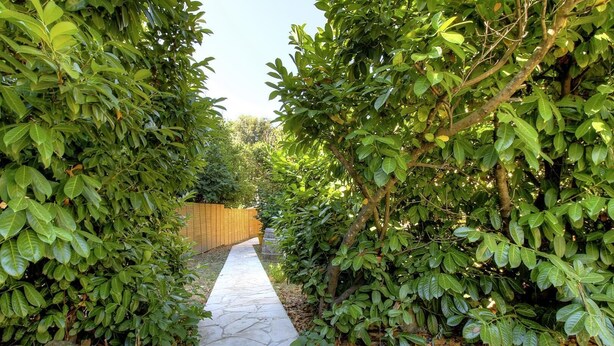 Ein Steinweg, gesäumt von dichtem Grün und einem Holzzaun.