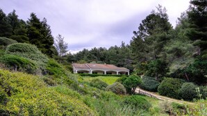 Ein Haus, umgeben von dichtem Wald, mit einem Weg davor.