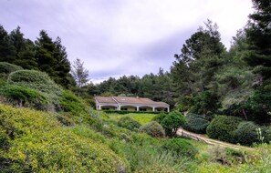 Exterior - Vrbo Property (SAINT FLORENT)