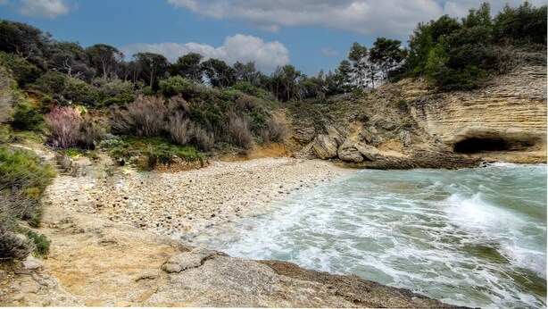 Ein felsiger Strand mit einer Höhle, umgeben von dichter Vegetation und einem klaren Himmel.
