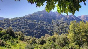 Un paysage montagneux, avec une forêt dense et un ciel dégagé.