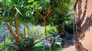 Une terrasse avec une table et des chaises, entourée d’une végétation luxuriante et d’arbres.
