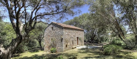 Extérieur