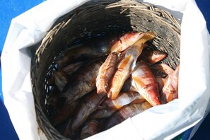A basket filled with fish. - A casetta - SANT ANDREA D'ORCINO (SANT ANDREA D'ORCINO)