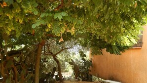 Un sendero que lleva a un edificio con una entrada bordeada de árboles.