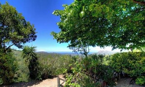 Eine natürliche Landschaft mit Bäumen und blauem Himmel.
