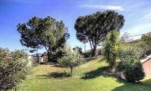 Ein Garten mit Bäumen, einer Palme und einer Steinmauer.