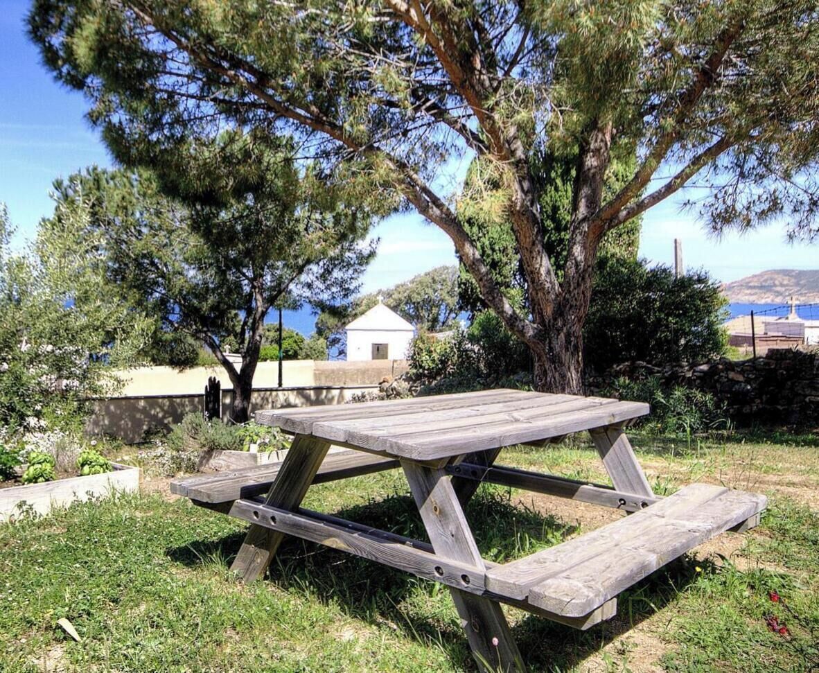Ett picknickbord på en gräsyta med träd och en byggnad i bakgrunden.