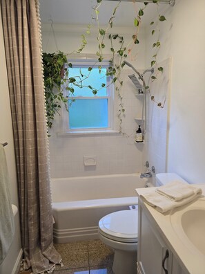 Bidet, towels, soap, toilet paper