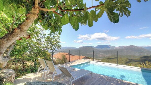 Una piscina con vistas a montañas, un árbol y una valla.