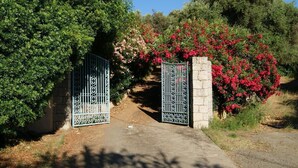 A gated entrance with a pathway leading into a property surrounded by greenery and flowering plants. - I dui cipressi - BASTELICACCIA (BASTELICACCIA)