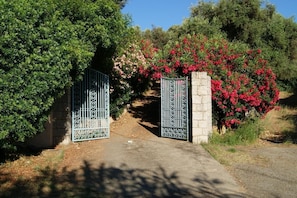 Jardines del alojamiento