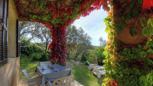 A covered patio with a table and chairs, surrounded by greenery and a stone wall. - I dui cipressi - BASTELICACCIA (BASTELICACCIA)