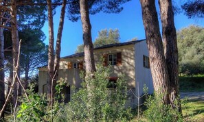 Una casa rodeada de árboles bajo un cielo despejado.