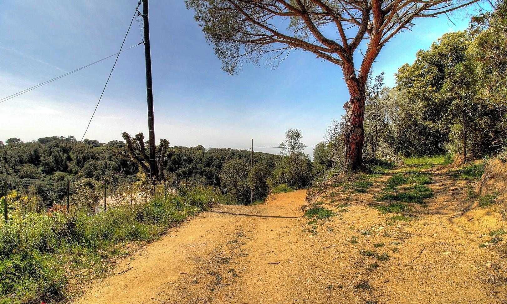 Un sendero de tierra serpentea por un paisaje natural con árboles y vegetación.