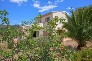 Ein Haus mit Garten, einer Palme und einem Berg im Hintergrund.