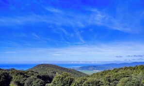 A mountainous landscape with a clear sky. - Paulina1 - OLMETO - B&B (OLMETO)