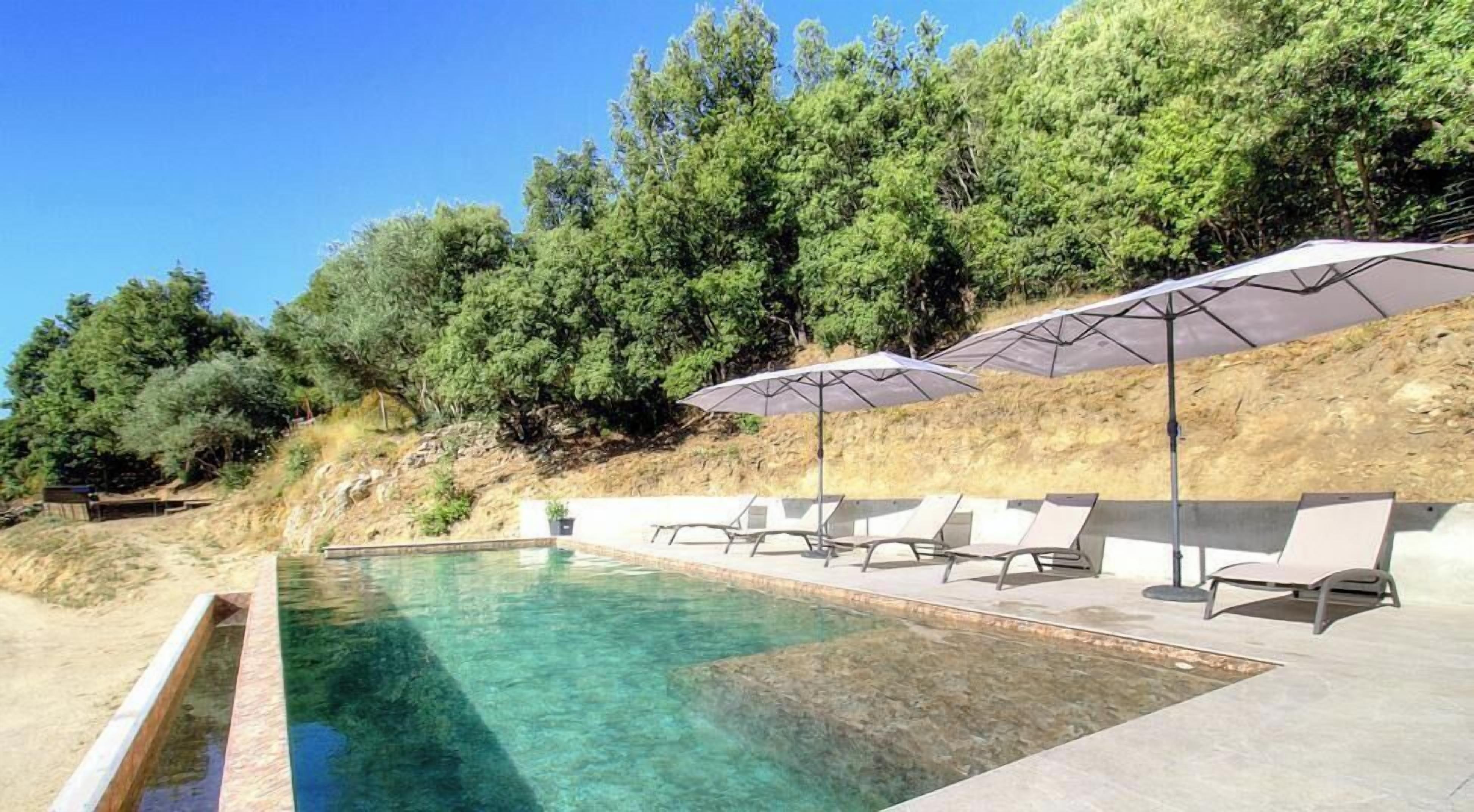 Une piscine entourée d’arbres et d’une colline, avec des chaises longues et des parasols.