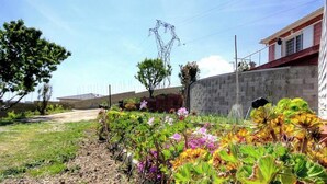 Ein Garten mit unterschiedlichen Pflanzen und Blumen, eine Backsteinmauer und ein Gebäude mit rotem Dach.