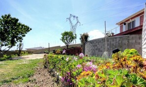Ein Garten mit unterschiedlichen Pflanzen und Blumen, eine Backsteinmauer und ein Gebäude mit rotem Dach.