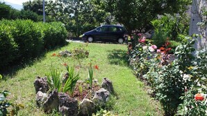 En have med en parkeret bil i baggrunden, omgivet af forskellige planter og blomster.