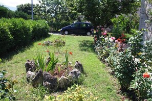 Ein Garten mit parkendem Auto im Hintergrund, umgeben von verschiedenen Pflanzen und Blumen.