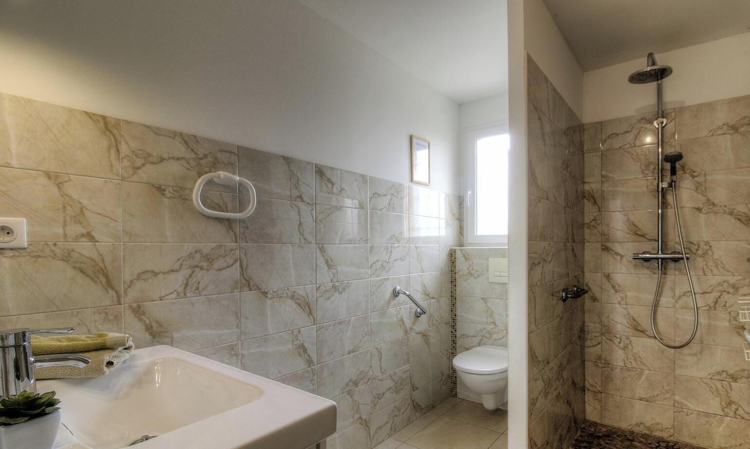 Bany amb paret de marbre, un lavabo, un vàter i una dutxa.