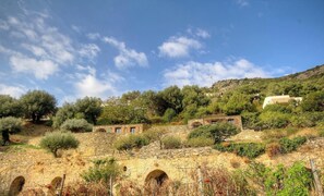 Ein Steingebäude mit Bogenportalen, umgeben von Olivenbäumen und Vegetation an einem Hügelhang.