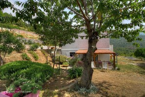 Property grounds - Aghja u moru - BISINCHI (BISINCHI)