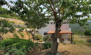 Property grounds - Aghja u moru - BISINCHI (BISINCHI)