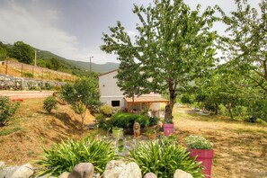 Property grounds - Aghja u moru - BISINCHI (BISINCHI)