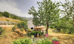 Property grounds - Aghja u moru - BISINCHI (BISINCHI)