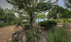 A garden with a variety of plants and trees, a gravel path, and a body of water in the background. - Aghja u moru - BISINCHI (BISINCHI)
