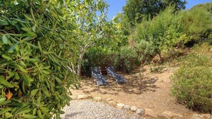 A garden with a gravel path, two lounge chairs, and dense foliage. - Castagnu - SANTA REPARATA DI BALAGNA (SANTA REPARATA DI BALAGNA)