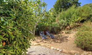 Ein Garten mit Kiesweg, zwei Liegestühlen und üppigem Grün.
