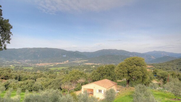 A rural landscape with a single house surrounded by olive trees and hills. - L'oliveraie 2 - SOLLACARO (SOLLACARO)