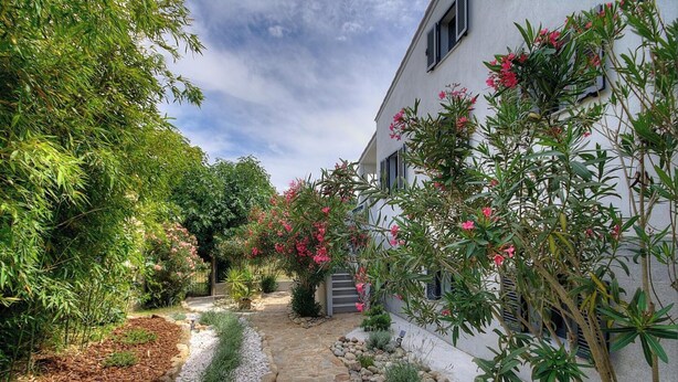 Un sendero conduce a un edificio rodeado de plantas y flores, con un jardín.