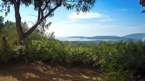 A bench in a natural setting with a view of distant hills and a body of water. - 10676 - SAINTE LUCIE DE PORTO VECCHIO (SAINTE LUCIE DE PORTO VECCHIO)
