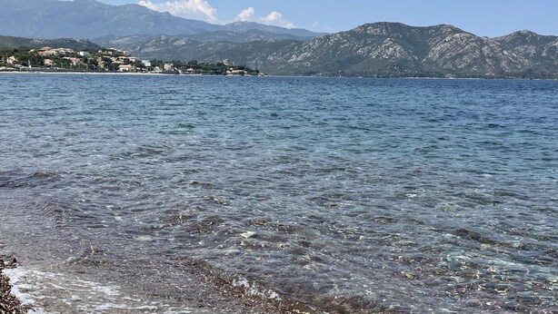 A coastal view with clear water, a distant shoreline with buildings, and mountains in the background. - Casa Stella Marina - SAINT FLORENT (SAINT FLORENT)
