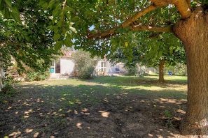 A residential property with a lawn, a tree, and a house with a visible door and windows. - Alimea - PRUNELLI DI FIUM'ORBO (PRUNELLI DI FIUM'ORBO)