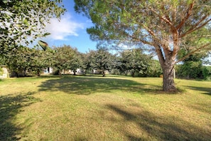 A grassy outdoor area with trees and a building in the background. - Alimea - PRUNELLI DI FIUM'ORBO (PRUNELLI DI FIUM'ORBO)