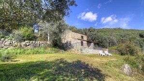 Immagine non classificata, 4 di 6, pulsante