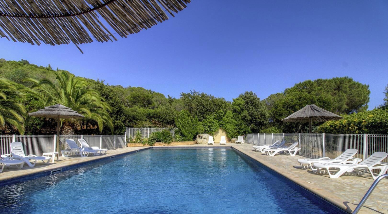 A swimming pool with white lounge chairs and thatched umbrellas, surrounded by greenery.