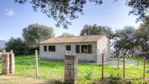 Property grounds - I caseddu d'Ulmetu1 - OLMETO (OLMETO)