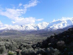Eine Berglandschaft mit schneebedeckten Gipfeln und einem Tal mit dichter Strauchvegetation.
