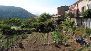 A rural landscape with a vineyard, stone buildings, and a mountainous backdrop. - Casa Cataronu 2 - LEVIE (LEVIE)