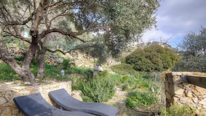 A stone wall, two lounge chairs, and a large tree in a garden setting. - U PAGLIAGHJU - CATERI (CATERI)