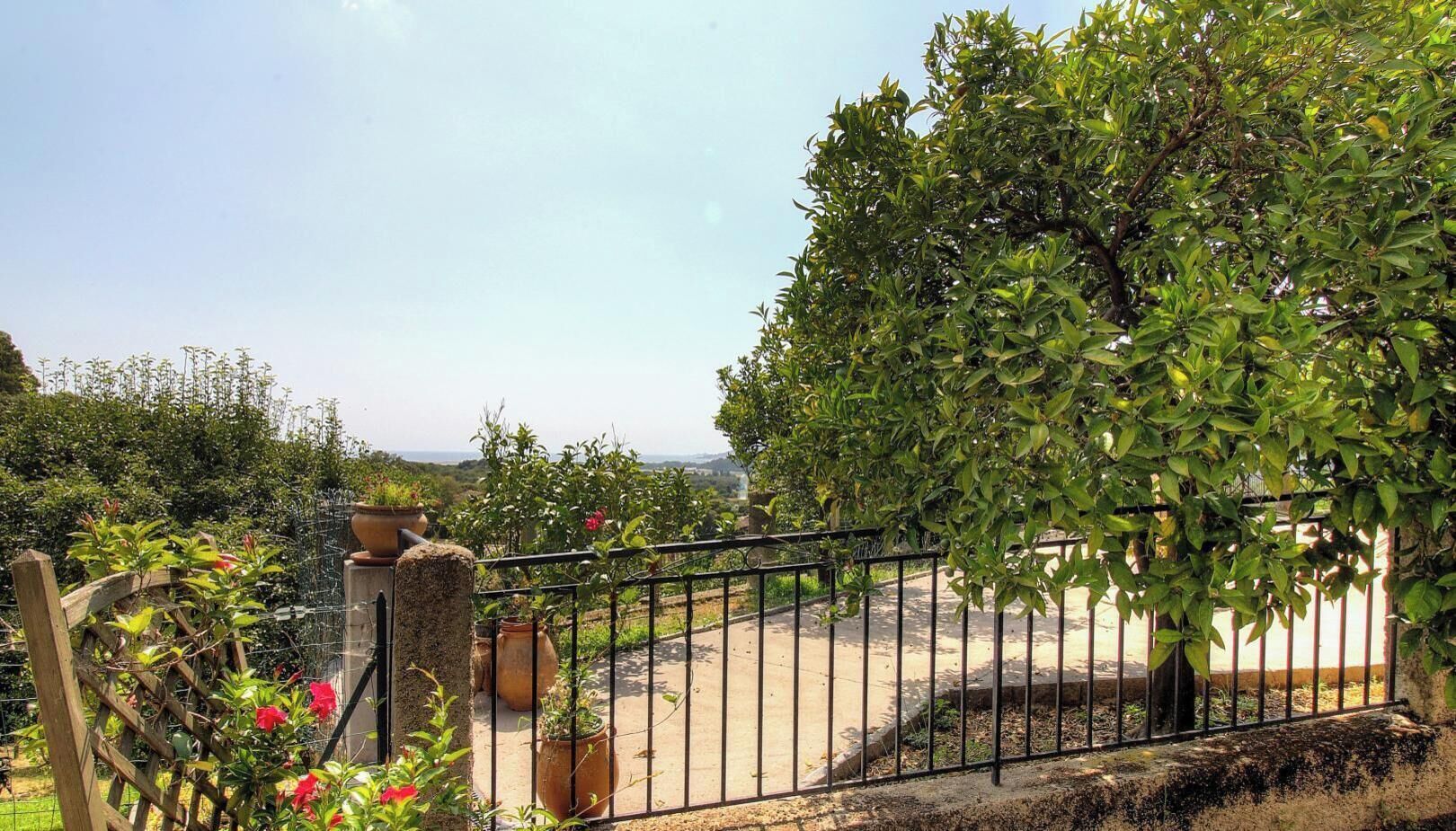 Un jardin avec une clôture en métal, des plantes en pot et une vue sur le paysage.