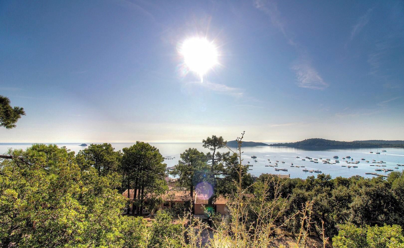 A coastal view with boats, trees, and a clear sky.
